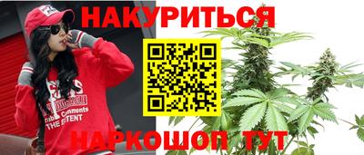 2c-b Новозыбков