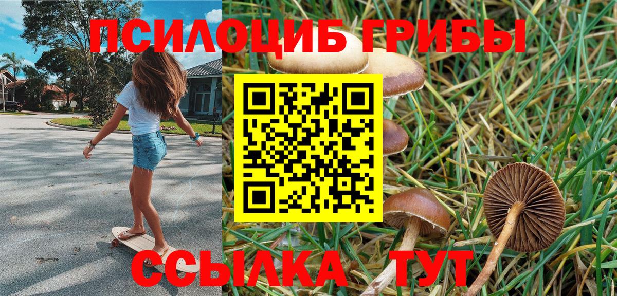 Галлюциногенные грибы ЛСД Рыбинск